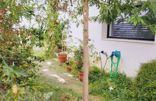 Family house with nice garden 10min from Sanlúcar - Photo 10