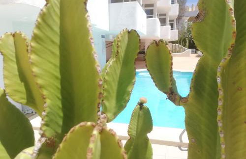 Apartamentos Ibiza - Foto 10