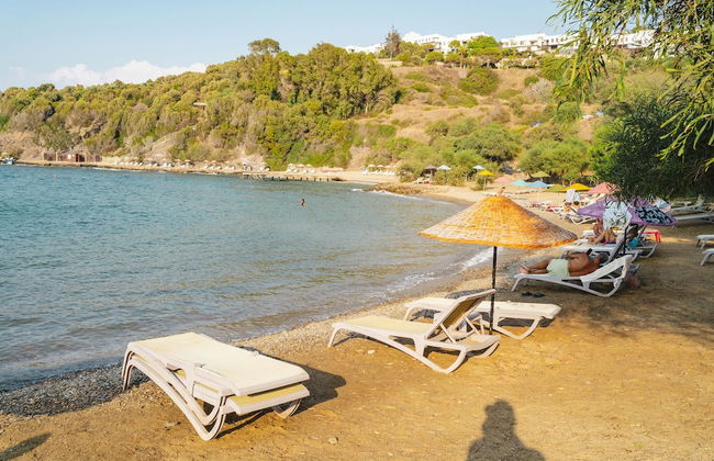 Bodrum Bargilya Villaları - Foto 39