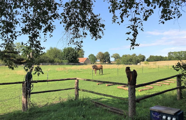 Landurlaub in Lubberstorf - Foto 38