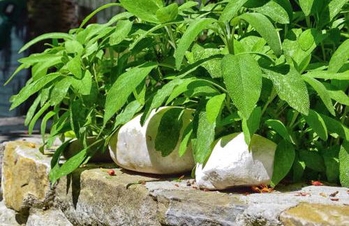 Appartamenti Tortorella - Foto 77