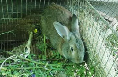 My Portugal for All - Lousada Villa - Foto 58