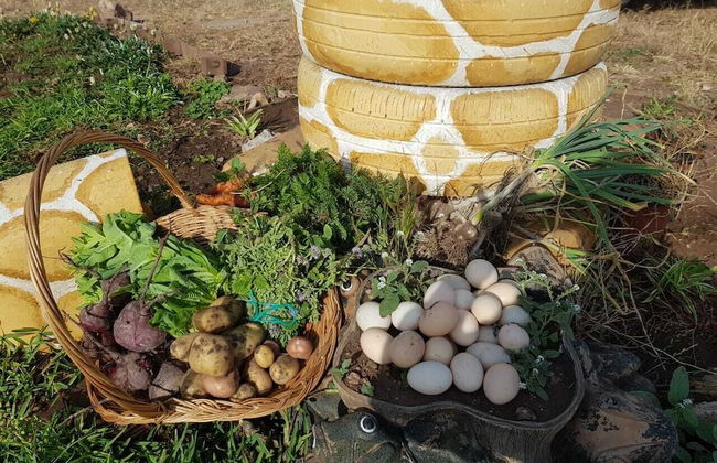 Maison la Branche d Oiseaux - Foto 10