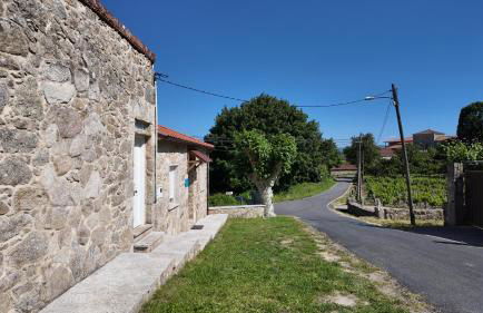 PANTON RURAL Casa Do José - Foto 39