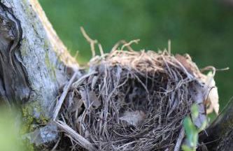 Midum LuxuryApartments con giardino - Foto 31