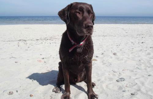 Ferienhaus EXTRAZEIT-URLAUB - Foto 24