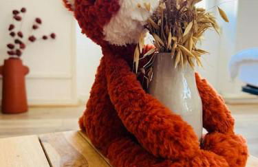 Studio Renard, style bohème et atypique, Curistes - Foto 11