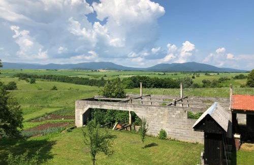 Apartman Jelena - Foto 26