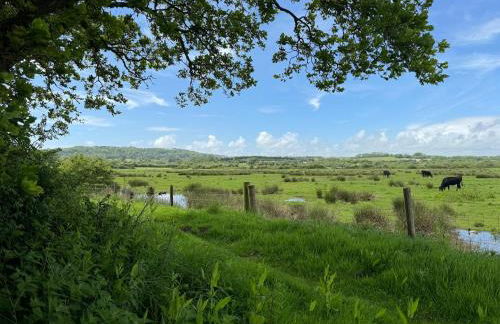 Tranquil Seabreeze - Photo 48