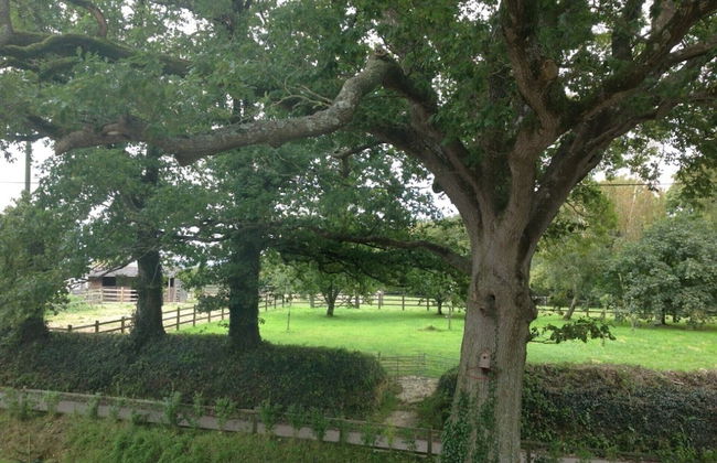 A Devon Rural Retreat - Foto 16