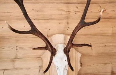 Magnifique chalet avec terrasse, jardin et sauna extérieur - Foto 18