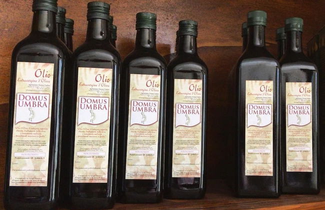 Domus Umbra - Photo 14