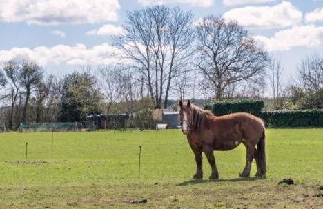 Espace Acu-Nature - Foto 91