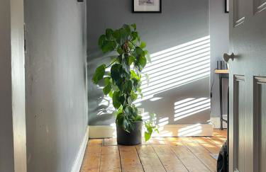 Townhouse in trendy suburb of Hoole - Photo 4