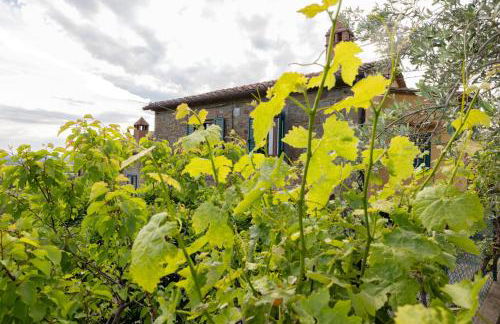 Casetta del Glicine - Foto 55