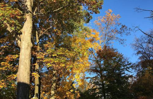 Lux Home 5 min to Train and Airport - Foto 10