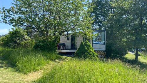 Rauszeit-Tiny Waldblick - Foto 5