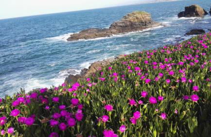 Casa o Furco - Foto 28