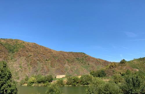 Ferienhaus Mosel 2.0 - Foto 27