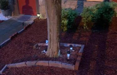 #2BR Cozy Villa - Mins to Historic STM Amusement Park! - Foto 23