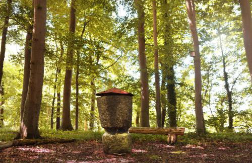 Apartments Wassermühle Stenten - Foto 38