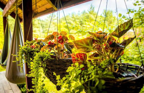 tuŻur domki nad potokiem - Foto 12