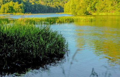 Nice Home In Tlen With Wifi - Foto 22