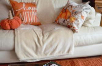 Les oiseaux - Foto 18