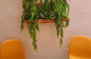 Vinaros Mar de Plata - Foto 15