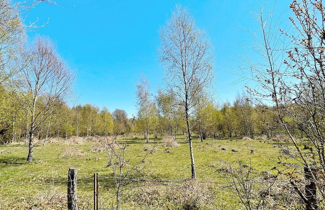 6 Person Holiday Home in Degeberga - Foto 19