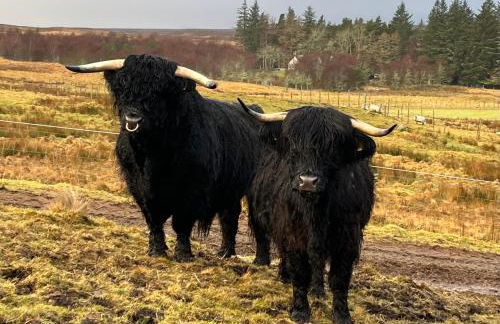 Pentland view croft with a sea view - Foto 25