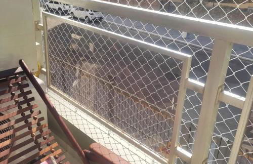 Apartamento Vermon 102 - Foto 9