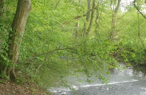 Oma Lina Haus - 4 SZ 2 Bäder großer Garten und Infrarot-Sauna - Photo 5