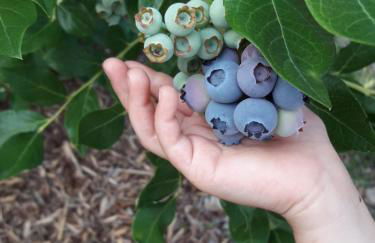 OG Die alte Stadtmühle direkt an der Flämingskate - Foto 18