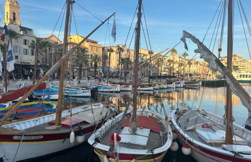 T2 tout confort et moderne, climatisé avec balcon et parking, à 10 min du port et de la plage - Foto 7