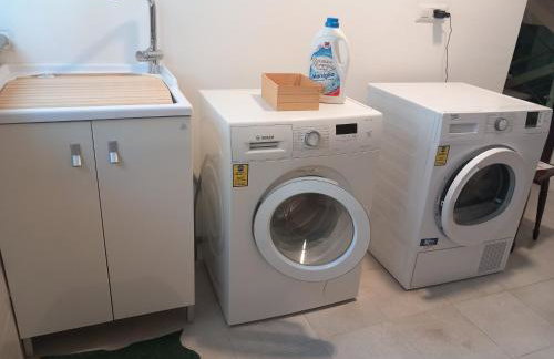 The Green Owl - Foto 32