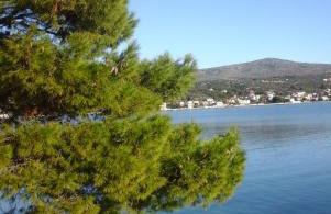 Apartment Benjamin - Photo 22