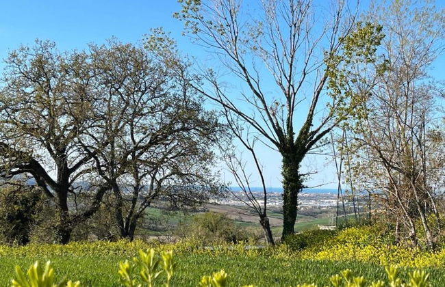 Inviting Holiday Home in San Costanzo With Swimming Pool - Foto 67