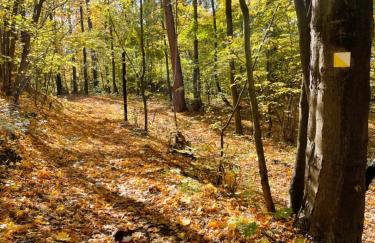 Happy Moments - widokowy apartament - Foto 26