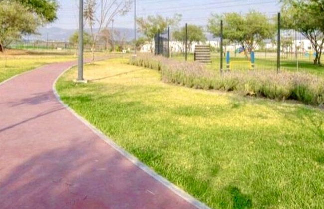 Casa de las Palmas - Foto 23