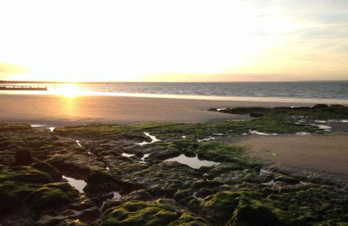 Michaelmas Cottage - Photo 23