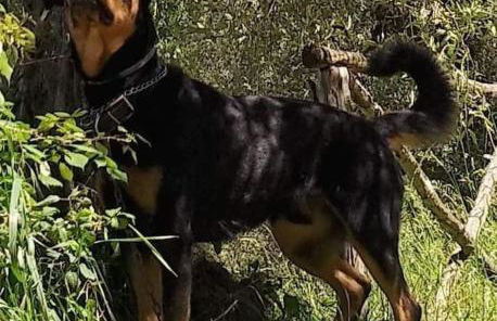 Casa vacanza in Casale vicino Orvieto - Foto 21