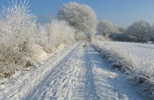Ferienhaus 'kiek op de Beek' - Foto 12