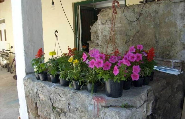 Gli Ulivi Agriturismo - Foto 71