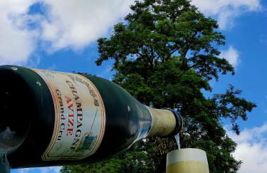 Au 1894 Grand Cru - Foto 38