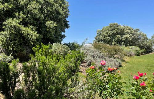 El encinar de Gabino - Foto 45