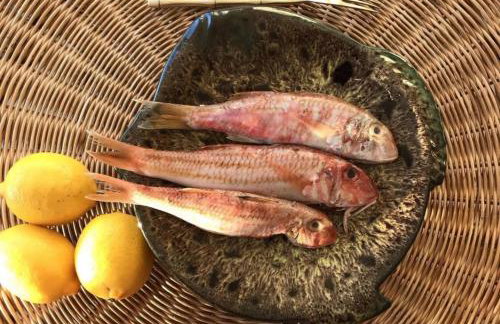 Dream House Karagounis - Foto 34