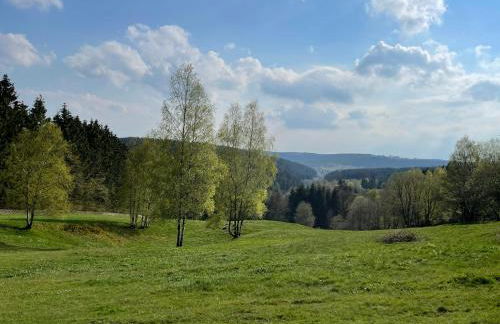Großzügige Souterrainwohnung in historischer Stadtvilla im Herzen Zellerfelds - Foto 17