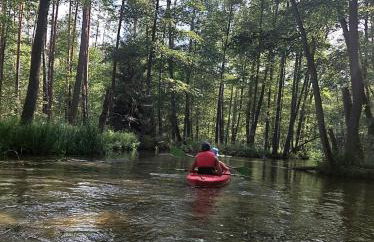 Biały Żagiel - Dom do wynajęcia Pluski - Foto 59