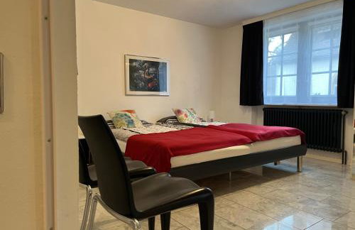 Excl Ferienwohnung im Dreiländereck D-F-CH mit beheiztem kl Pool zum Schwimmen und Massieren - Foto 36